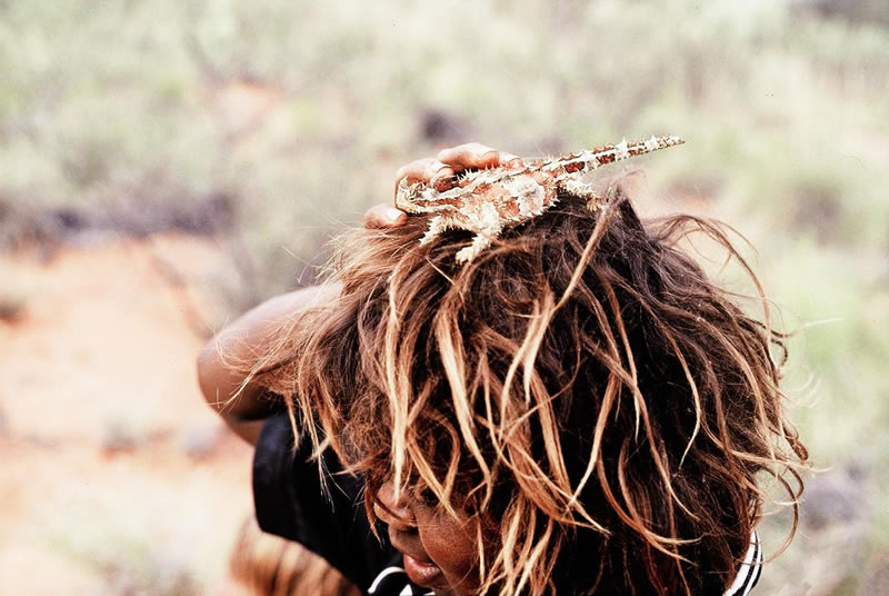 combthorny